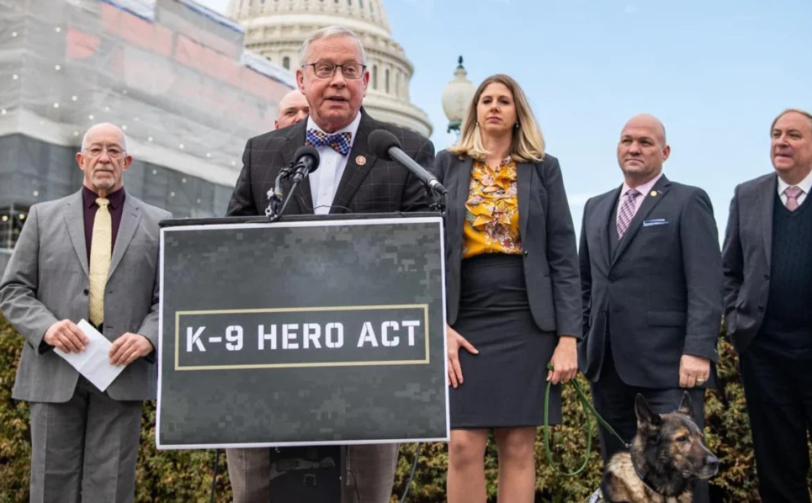 hero